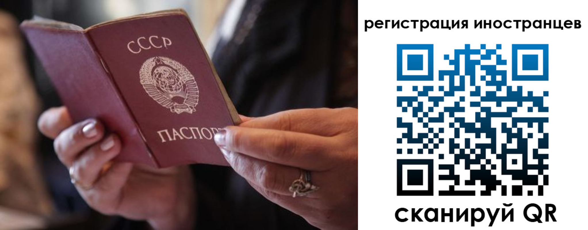 где прописаться в Тайге
